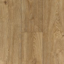 Tawny Hue