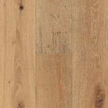 Serene Neutral
