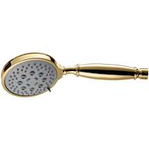 Lifetime Polished Gold