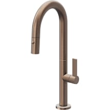 Satin Bronze