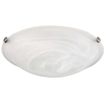Brushed Pewter