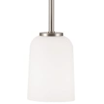 Brushed Nickel