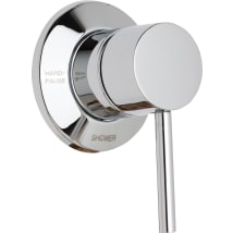 Polished Chrome