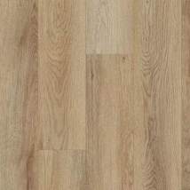 Cartwheel Oak