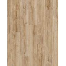 Lucent Oak