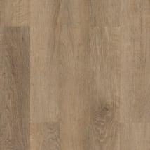 Brockport Oak