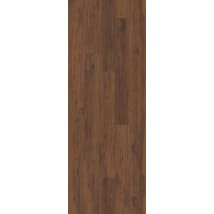 Fidalgo Oak