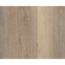 Bastion Elm