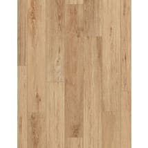 Lyric Oak