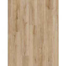 Lucent Oak