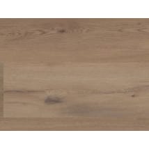 Parchment Oak
