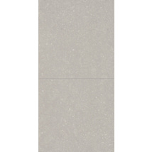 Dolomi Limestone