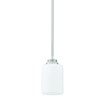 Brushed Polished Nickel