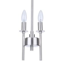 Brushed Polished Nickel