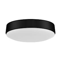 Flat Black