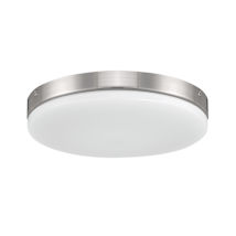 Brushed Polished Nickel