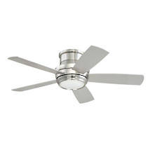 Brushed Polished Nickel