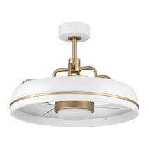 White / Satin Brass