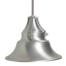 Satin Aluminum