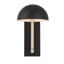 Midnight / Satin Aluminum
