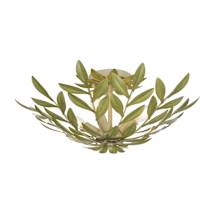Champagne Green Tea