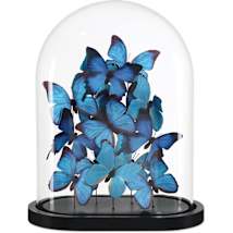 Blue / Black / Clear