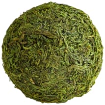Green Moss