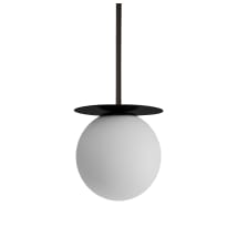 White / Matte Black