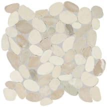 Seashell