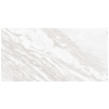 Timeless White
