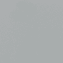 Desert Gray