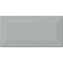 Desert Gray