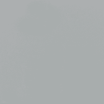 Desert Gray