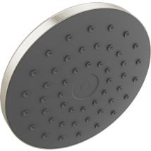 Spot Shield Brushed Nickel