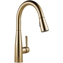Champagne Bronze