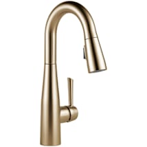 Champagne Bronze
