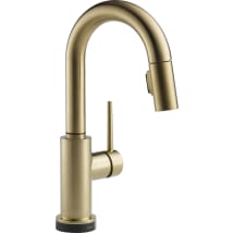 Champagne Bronze