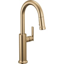 Champagne Bronze
