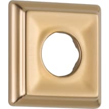 Champagne Bronze