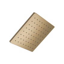Champagne Bronze