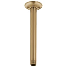 Champagne Bronze