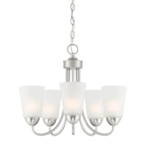 Brushed Nickel