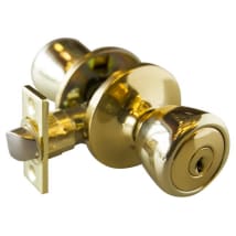 Polished Brass