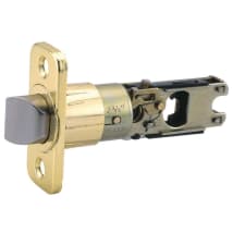 Polished Brass