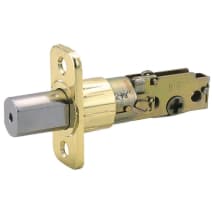 Polished Brass