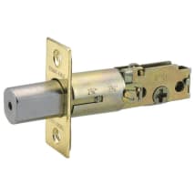 Polished Brass