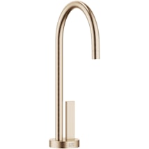 Brushed Champagne (22kt Gold)