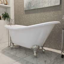 White / Brushed Nickel