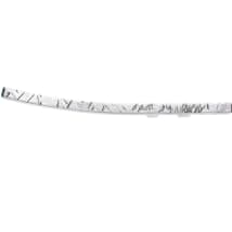 Polished Aluminum