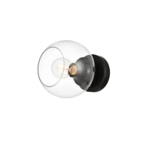 Black / Clear